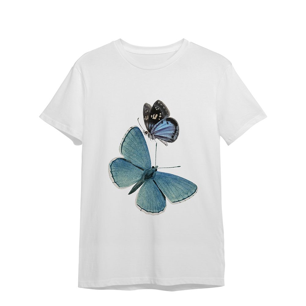 Butterflies