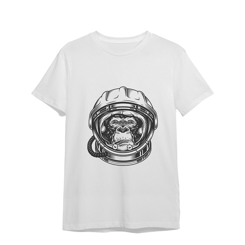 Space Monkey1