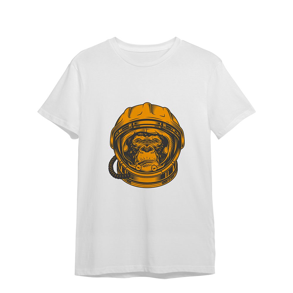Space Monkey2